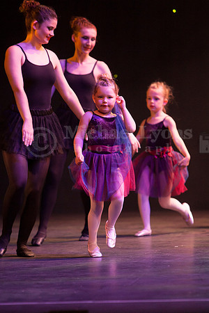 _MG_0964