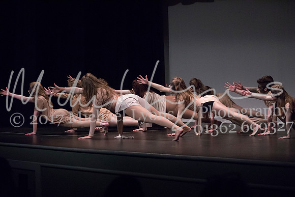 © Michael Lyons Photography  Neatherd High School Dynamic 2017 009