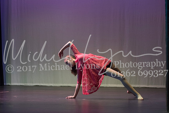 © Michael Lyons Photography  Neatherd High School Dynamic 2017 016