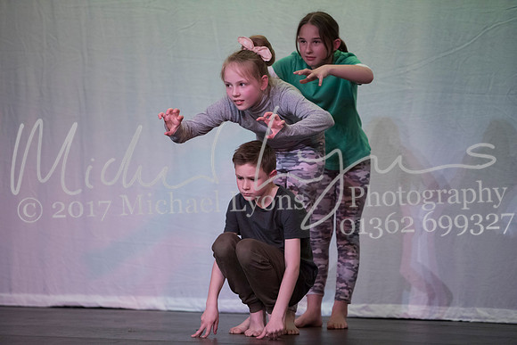 © Michael Lyons Photography  Neatherd High School Dynamic 2017 021