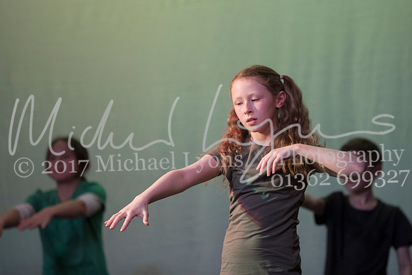 © Michael Lyons Photography  Neatherd High School Dynamic 2017 034