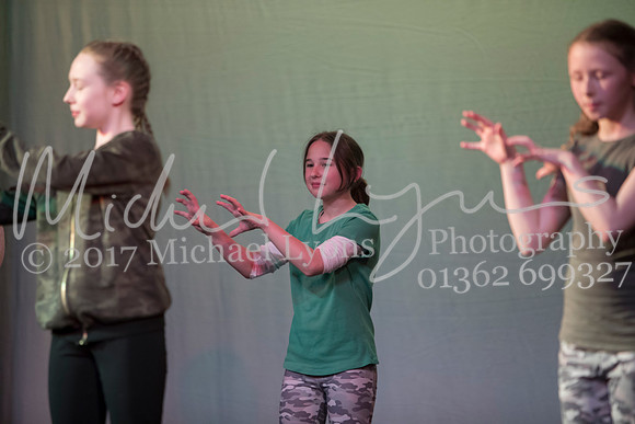 © Michael Lyons Photography  Neatherd High School Dynamic 2017 035