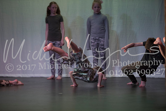 © Michael Lyons Photography  Neatherd High School Dynamic 2017 036