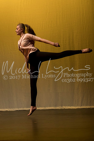 © Michael Lyons Photography  Neatherd High School Dynamic 2017 129