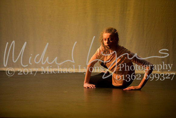 © Michael Lyons Photography  Neatherd High School Dynamic 2017 130