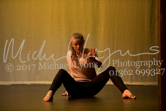 © Michael Lyons Photography  Neatherd High School Dynamic 2017 131