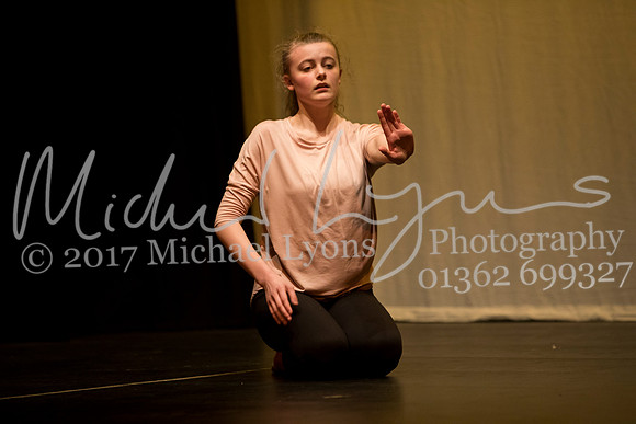 © Michael Lyons Photography  Neatherd High School Dynamic 2017 133