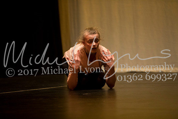 © Michael Lyons Photography  Neatherd High School Dynamic 2017 135