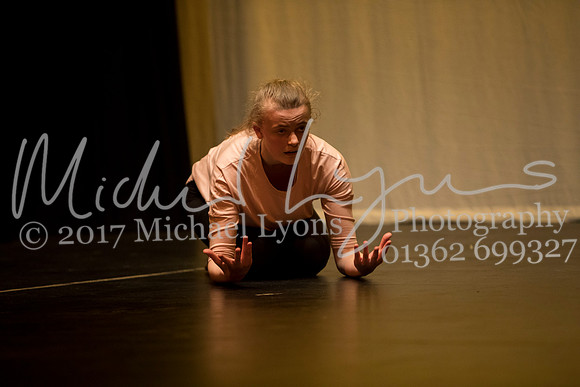 © Michael Lyons Photography  Neatherd High School Dynamic 2017 136