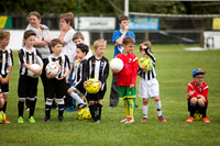 DTFC_2017_0035