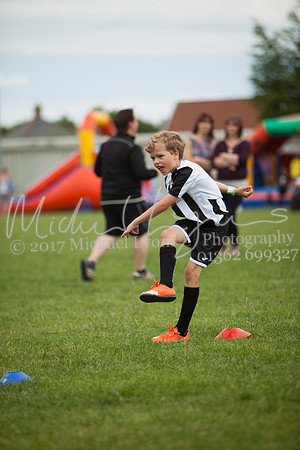 DTFC_2017_0099