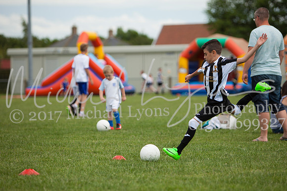 DTFC_2017_0113