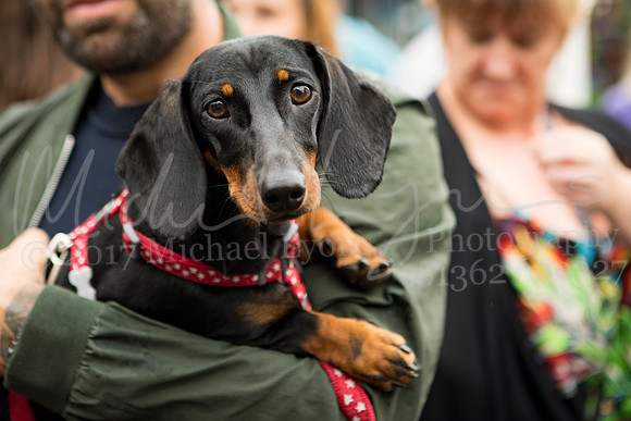 © Michael Lyons Photography Carnival Day 2017 0523