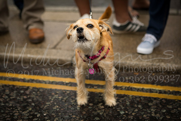 © Michael Lyons Photography Carnival Day 2017 0727