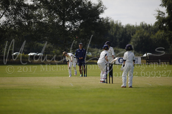 Cricket 2017_0003