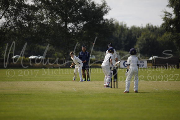 Cricket 2017_0004