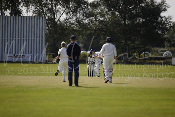 Cricket 2017_0011