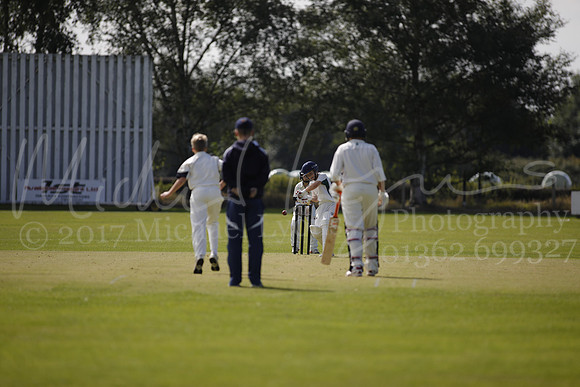 Cricket 2017_0013