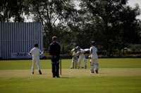 Cricket 2017_0024