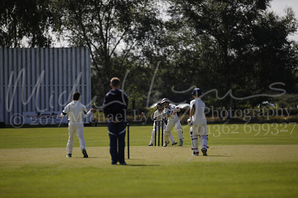 Cricket 2017_0024