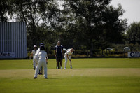 Cricket 2017_0029
