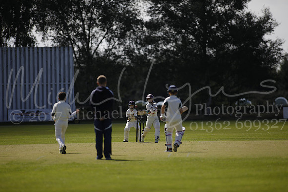 Cricket 2017_0043