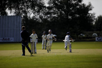Cricket 2017_0044
