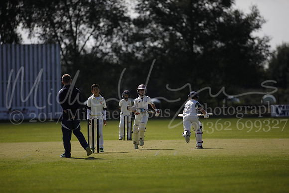 Cricket 2017_0044