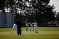 Cricket 2017_0048