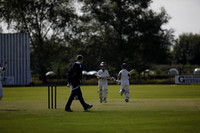Cricket 2017_0051
