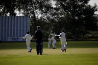Cricket 2017_0052