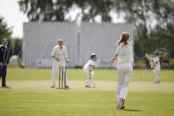 Cricket 2017_0108
