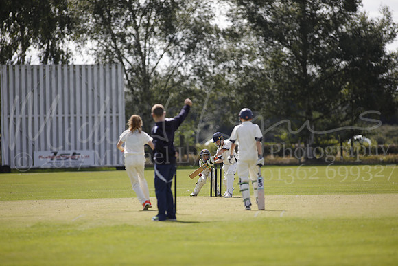Cricket 2017_0117