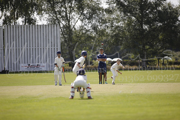 Cricket 2017_0118