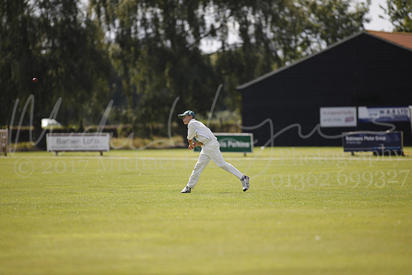 Cricket 2017_0120
