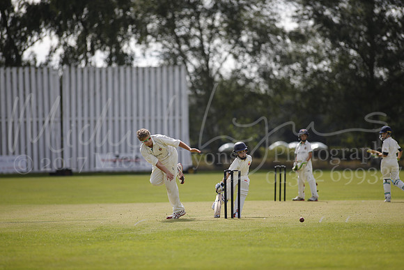 Cricket 2017_0121