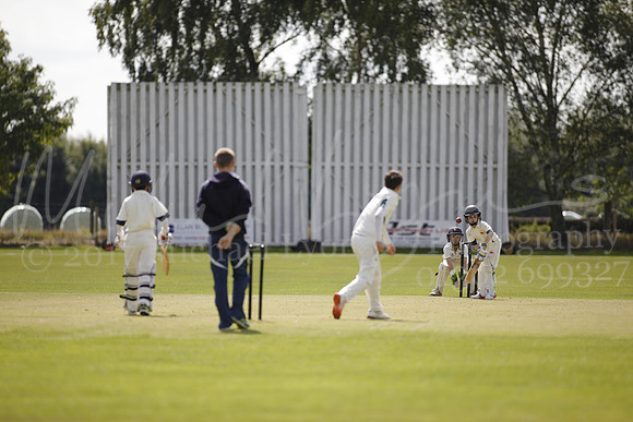 Cricket 2017_0124