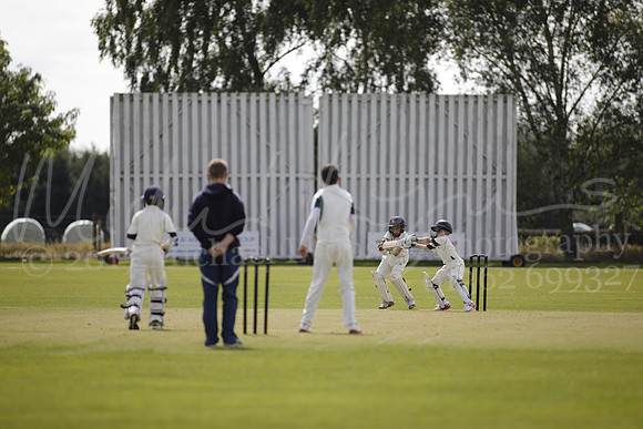 Cricket 2017_0125