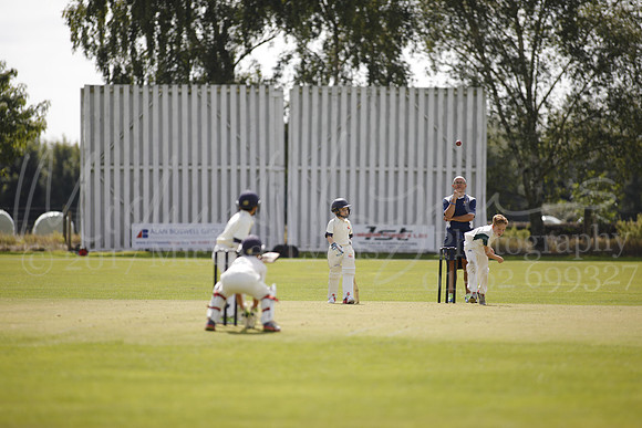 Cricket 2017_0126