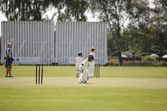 Cricket 2017_0127