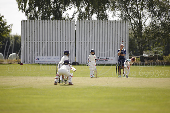 Cricket 2017_0128