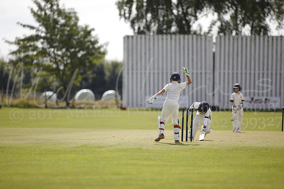 Cricket 2017_0129