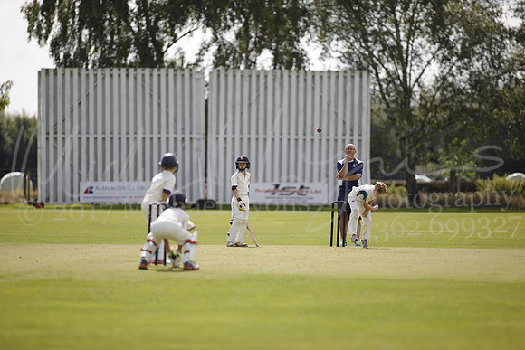 Cricket 2017_0130