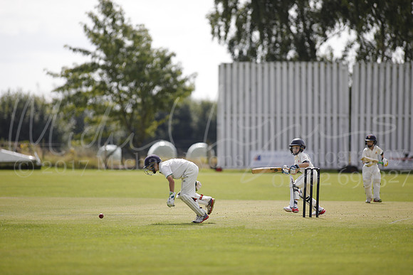Cricket 2017_0131