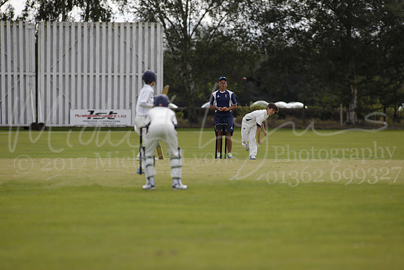 Cricket 2017_0212