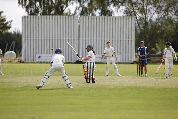 Cricket 2017_0225