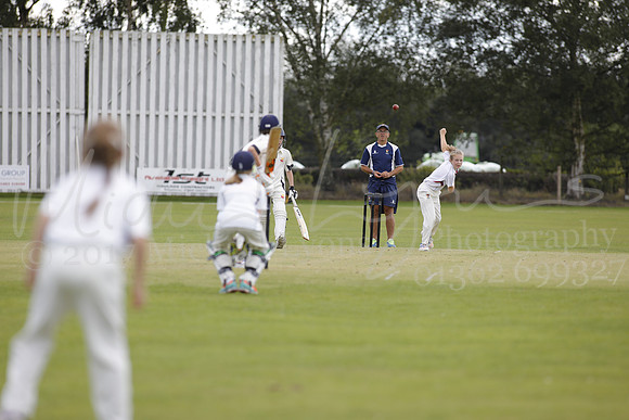 Cricket 2017_0244