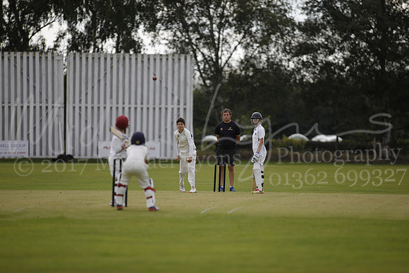 Cricket 2017_0271