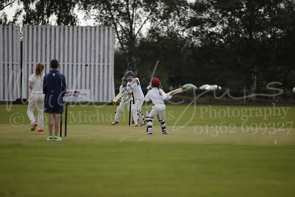 Cricket 2017_0275