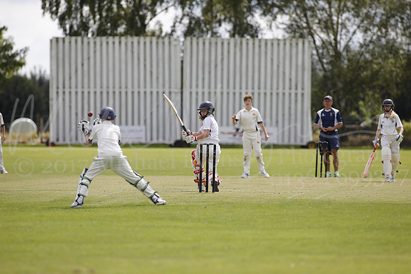 Cricket 2017_0281